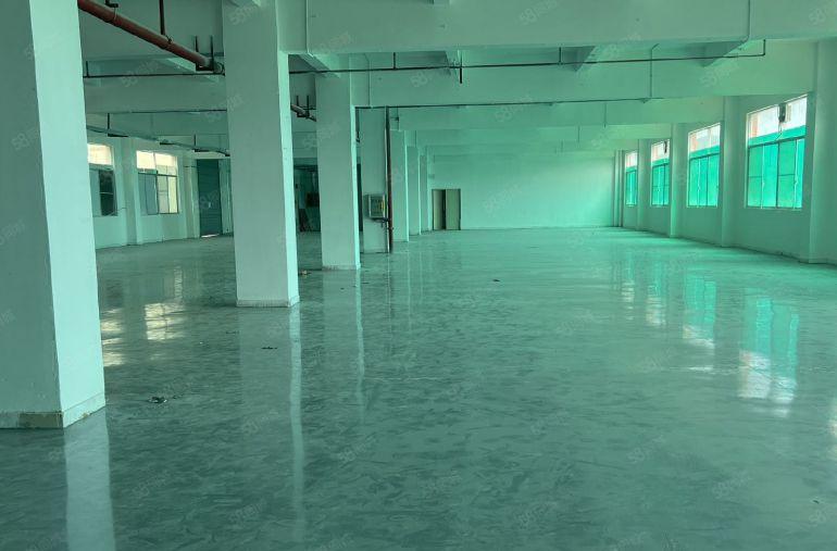 低价出租！仅剩1100平实际面积出租，格局好空间大配套完善