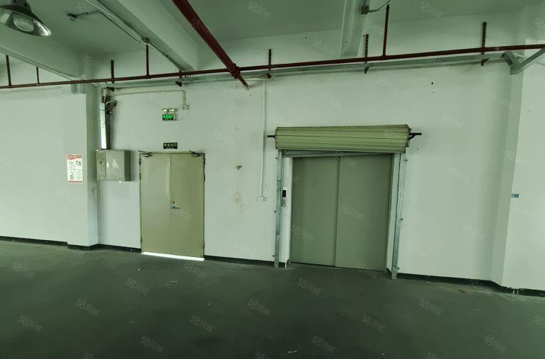 整层800平方带办公室卫生间厂房出租凤岗镇三联村