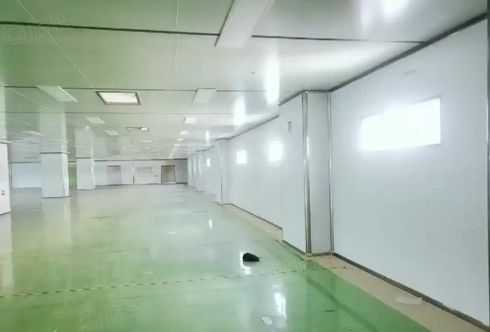 凤岗官井头原房东无尘车间厂房出租2000平米可分租无转让费