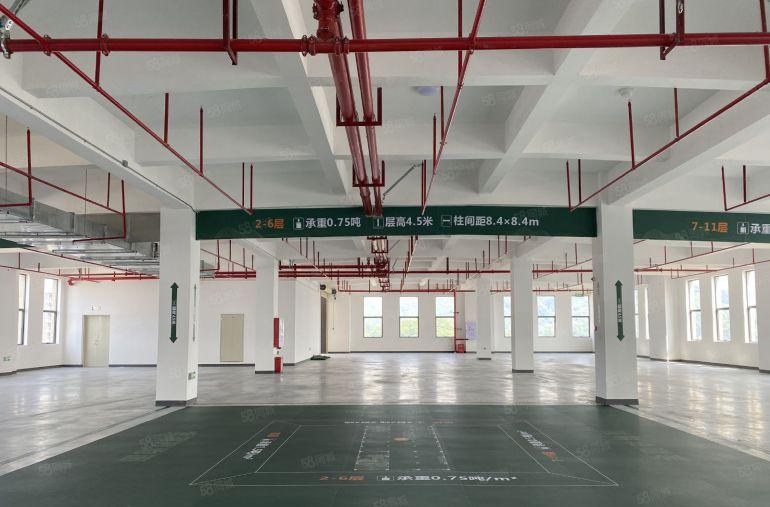 精装修高标厂房招租，红本现楼即租即用，1000平起配套完善