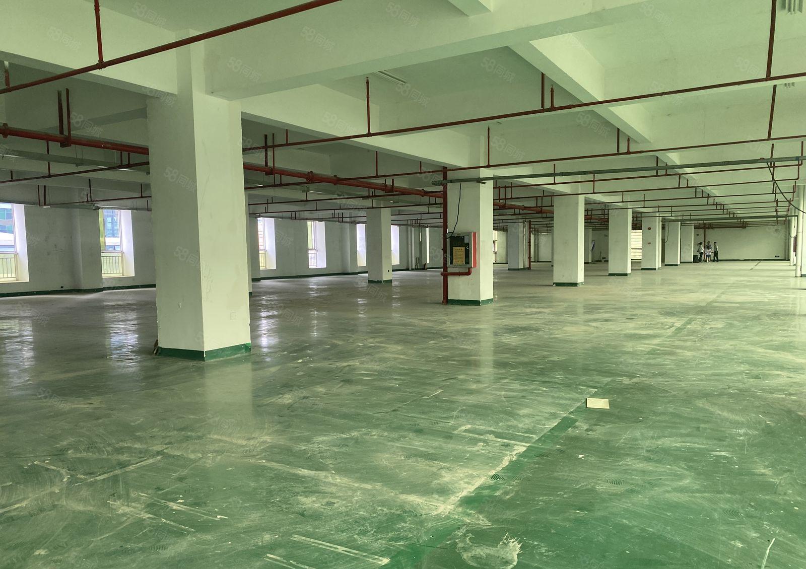 凤岗油甘埔宏骏工业园独栋3千平红本仓库厂房出租可分租可办环评