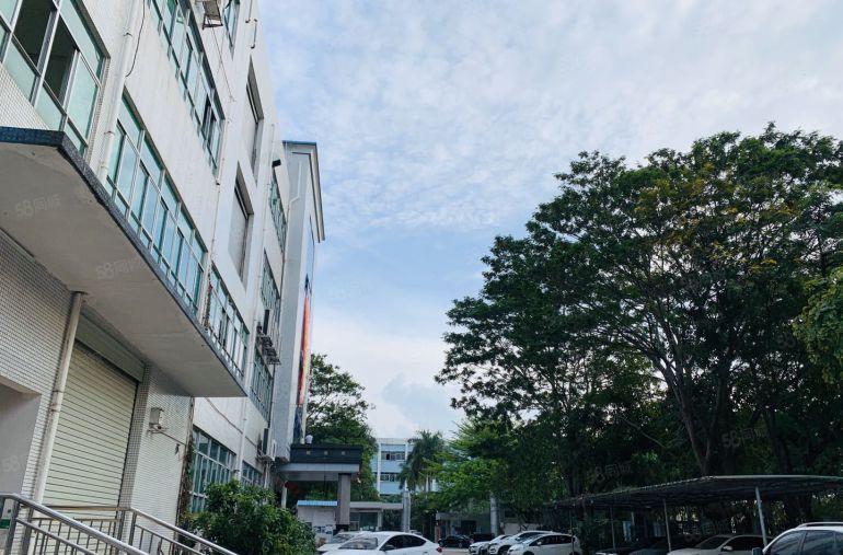 10元起租，凤岗五联新出8000平村委独门独院厂房仓库出租