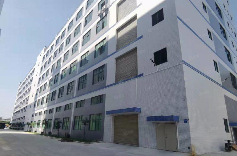 凤岗一手房东全新厂房3万平单层4000平大小可分厂房仓库出租