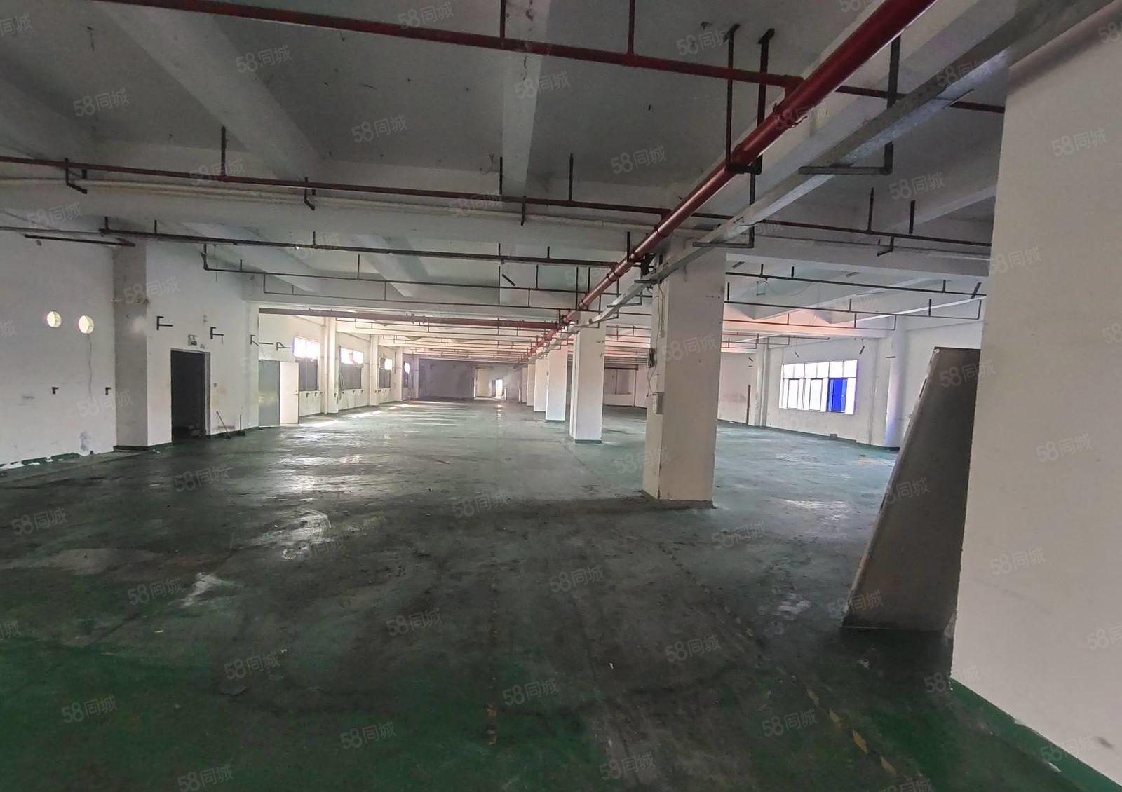 凤岗布心三楼3900平方豪华办公室重工业厂房可做五金注塑电子