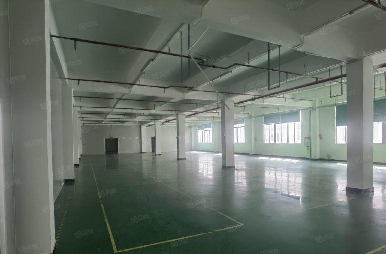 1500平方米带精装修三楼厂房）凤岗雁田原房东楼上厂房出租