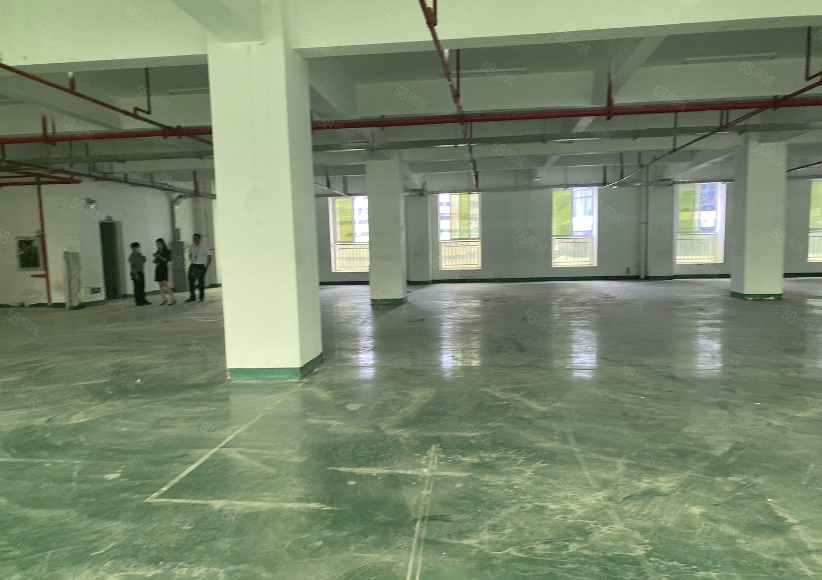 凤岗布心工业区独栋3000平红本仓库厂房出租可分租可办环评