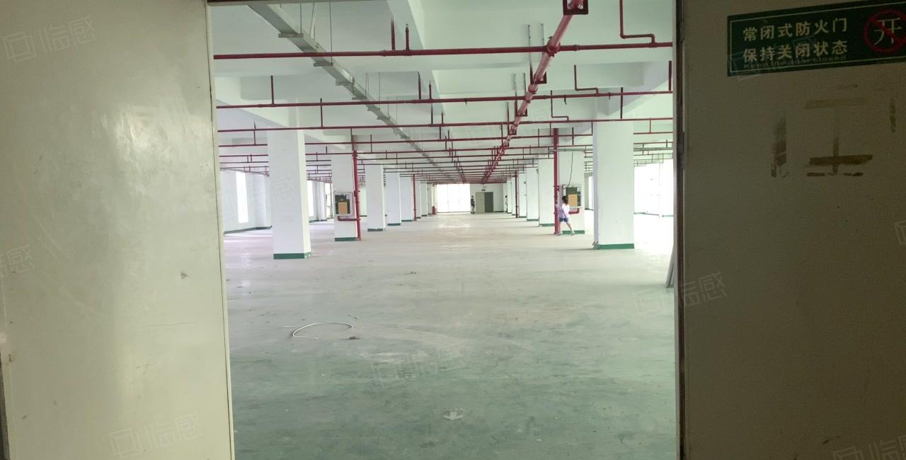 凤岗布心工业区独栋3000平红本仓库厂房出租可分租可办环评
