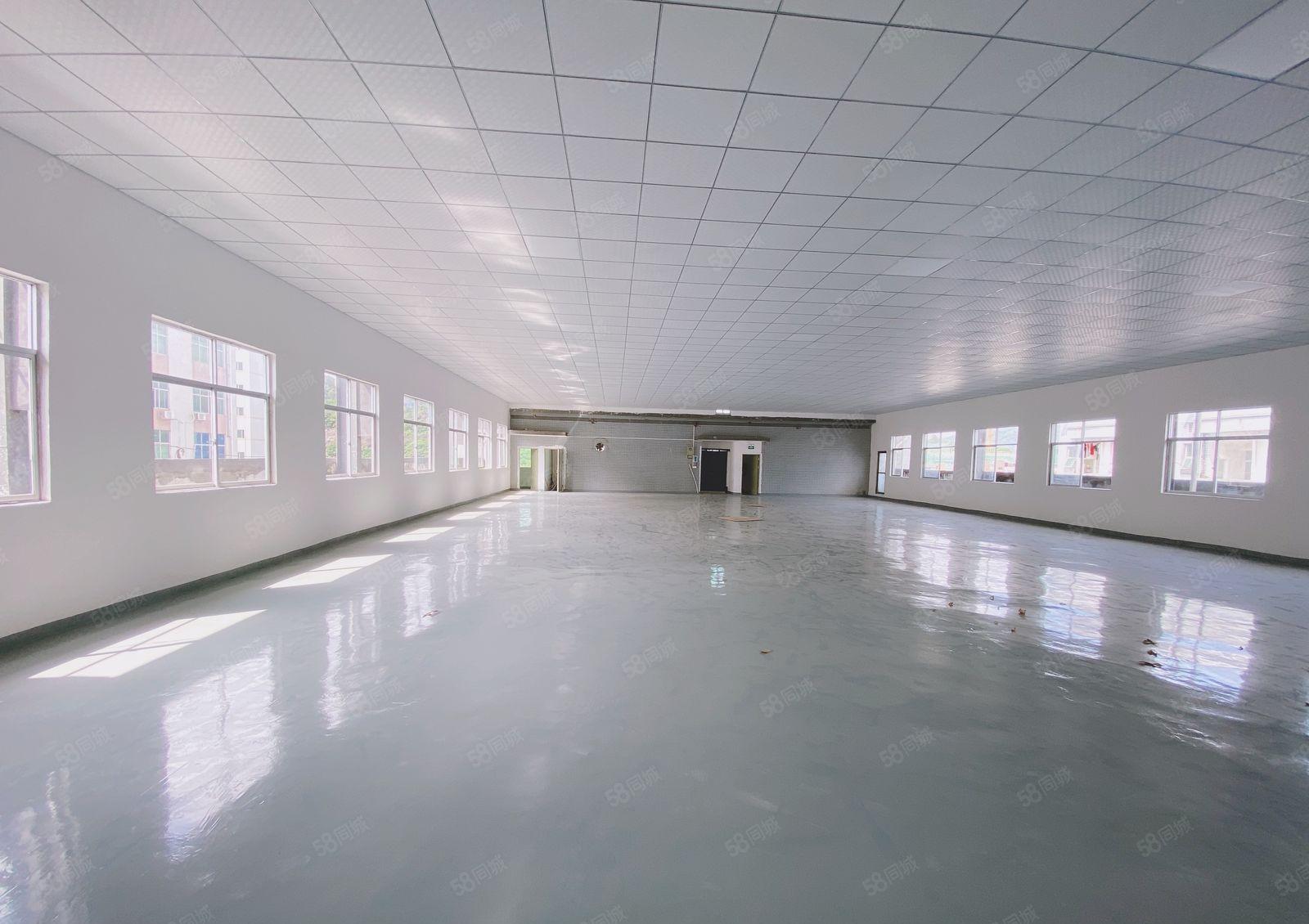 凤岗金凤凰楼上1000平现成装修租金12可谈