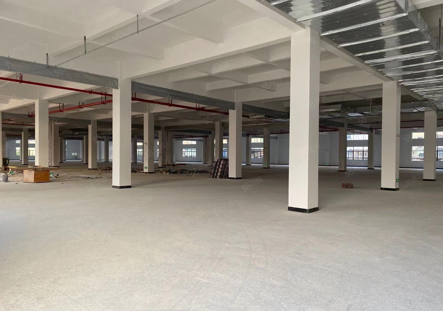 2百5百8百1千平起分租，凤岗小布工业区一楼独院仓库厂房出租