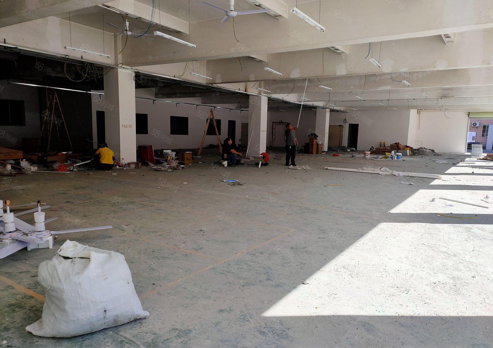 出租雁田临深一楼800平  6米高 空地大 带红本