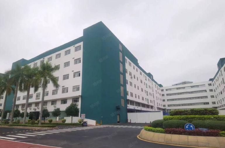 电商仓储物流仓！凤岗新出36000平独门独院厂房仓库出租