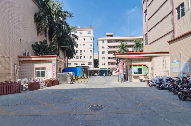 12元起租油甘埔工业园区独门独院厂房出租大小可分空地大精装修