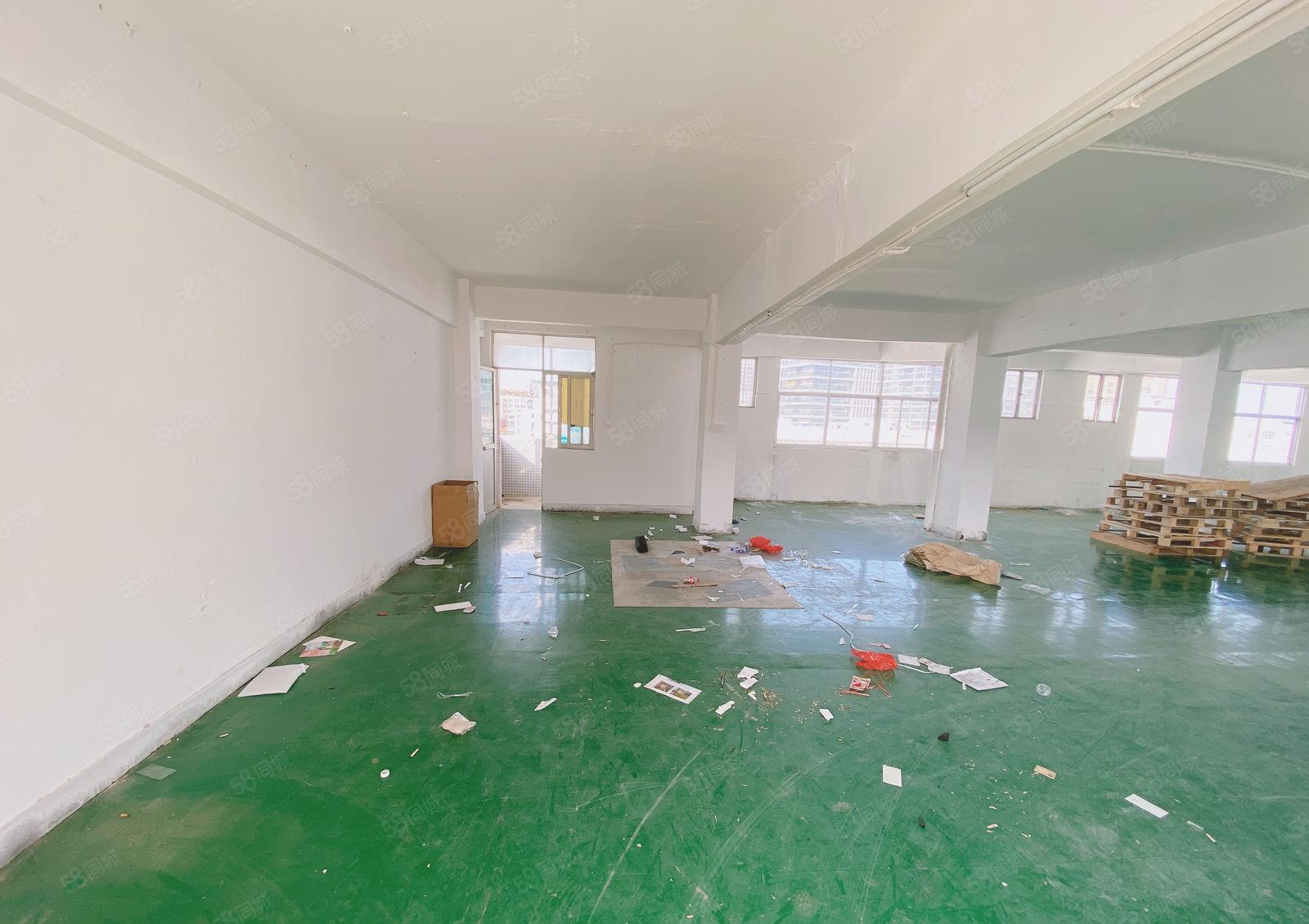 凤岗雁田自家厂房现成水电办公室600平租金16 可谈