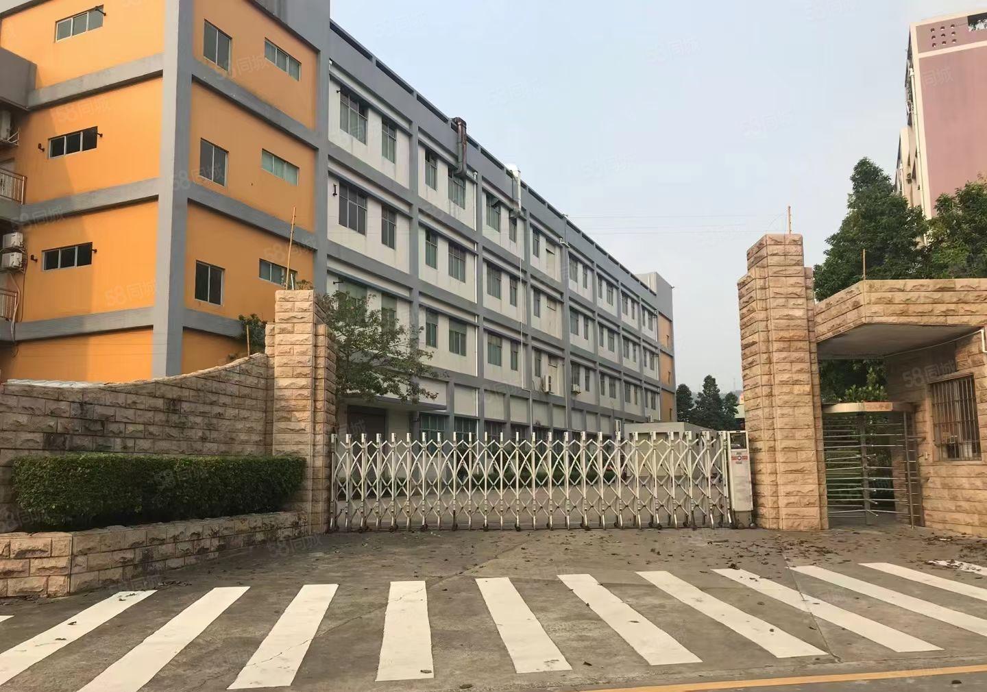 凤岗雁田二楼500平方带办公室装修厂房出租