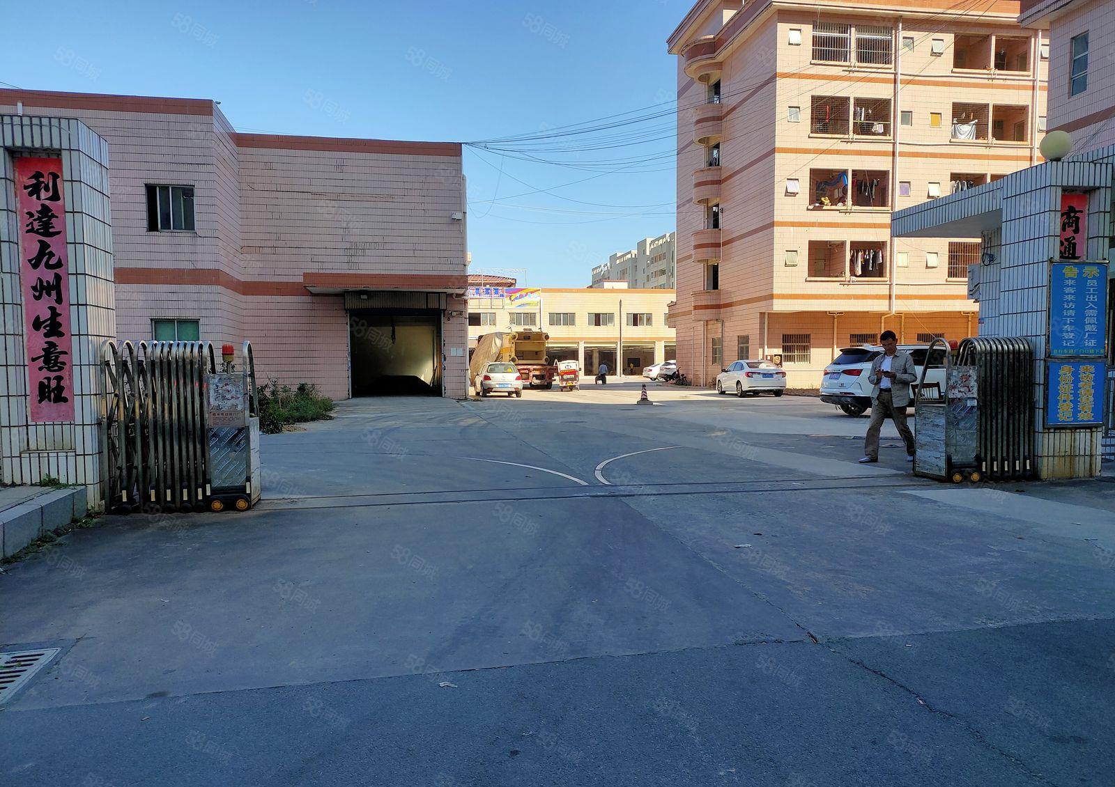 出租雁田临深一楼800平  6米高 空地大 带红本