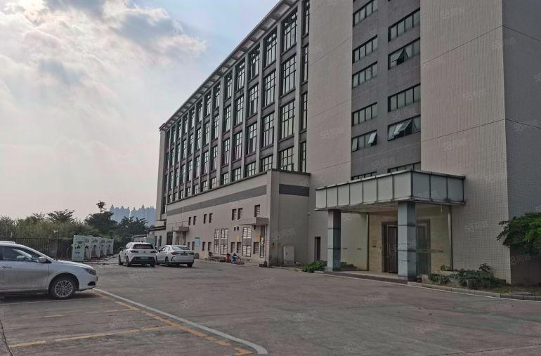 凤岗金凤凰原房东厂房出租1000平一楼高度6米带牛角可分租