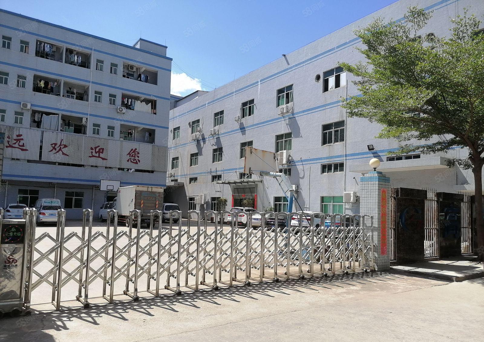 凤岗镇五联村原房东独院厂房实际面积出租6000平方一楼6米高