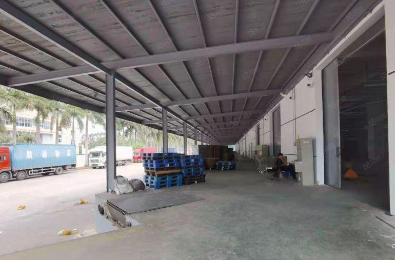 10元起电商物流客户！凤岗独院5万平单层1万平大小分厂房出租