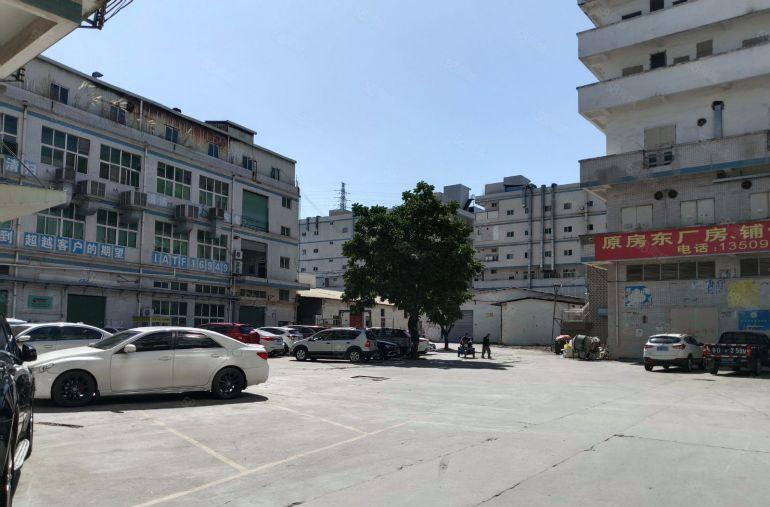 凤岗雁田原房东面积实在一楼760平现成航车装修办公室出租