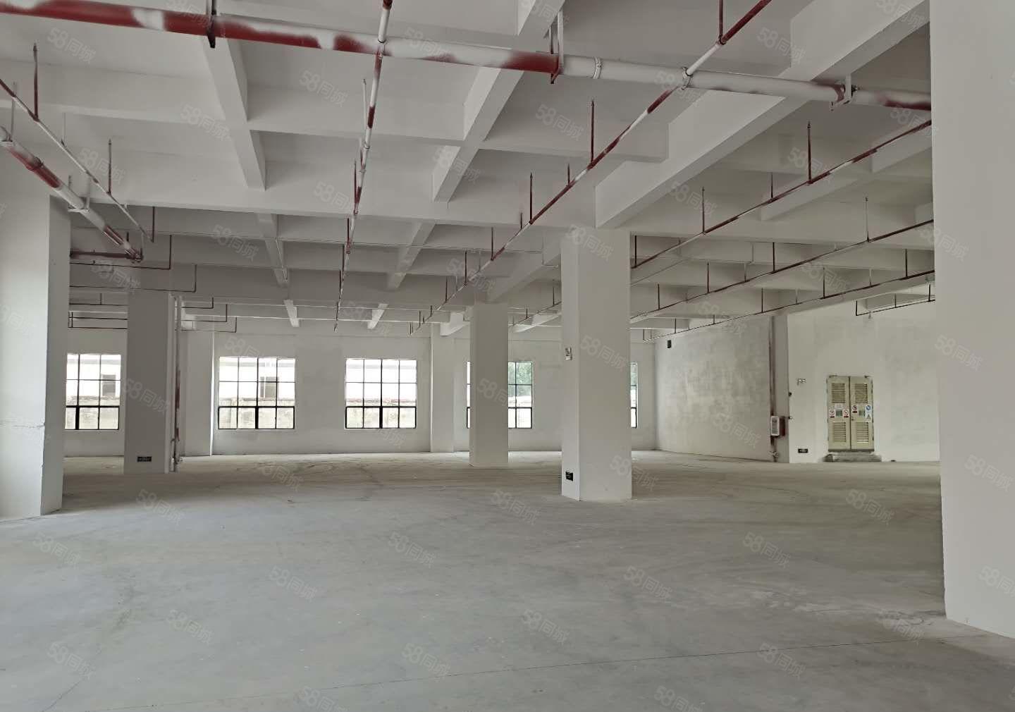 2百5百8百1千平起分租，凤岗小布工业区一楼独院仓库厂房出租