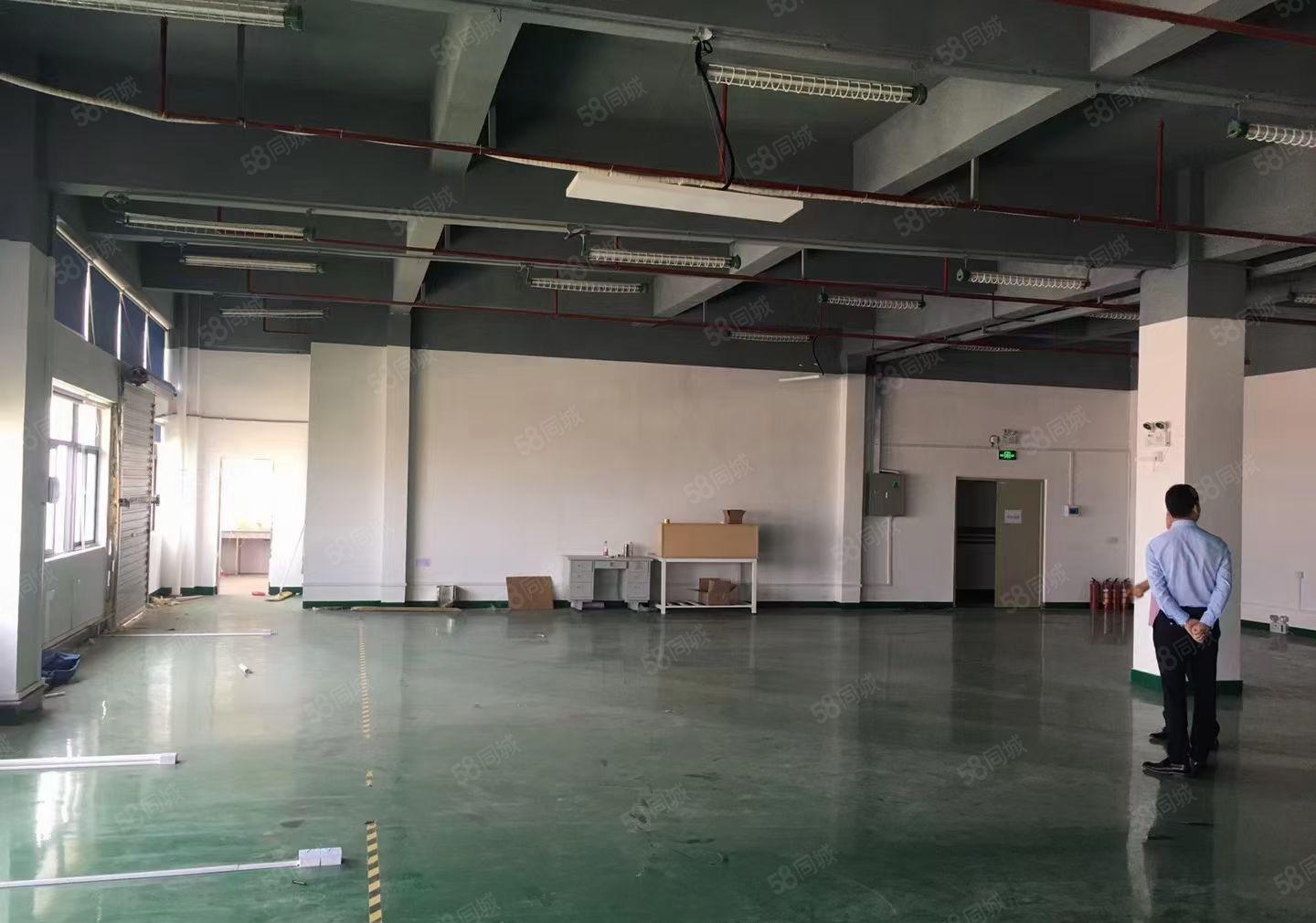 凤岗五联新出带装修二楼800平方，主干道边上 招工非常方便