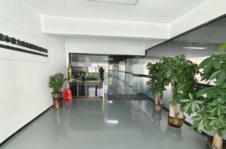 凤岗雁田2楼一整层1200平，全新装修，租金15元