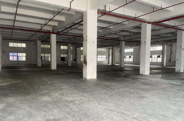 原房东6米高一楼厂房）凤岗雁田新出2000平方米厂房出租