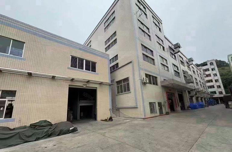 凤岗金凤凰新出6000平方米独院厂房出租）租厂房找原房东