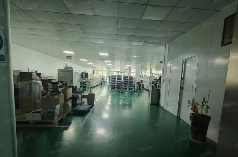 凤岗金凤凰原房东出租五金塑胶电子独院厂房6500平米