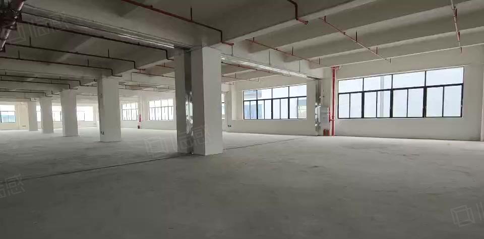 超大空地！凤岗镇独门独院花园式标准厂房出租，证件齐全大小可分