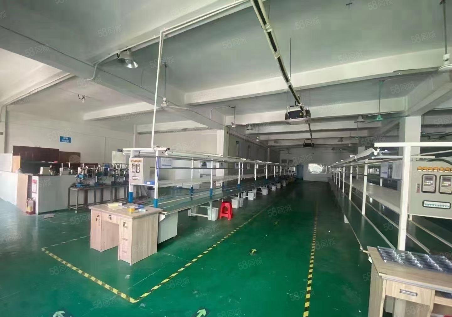 凤岗雁田布心新出4楼1000平方分租，厂房精装修，无转让费