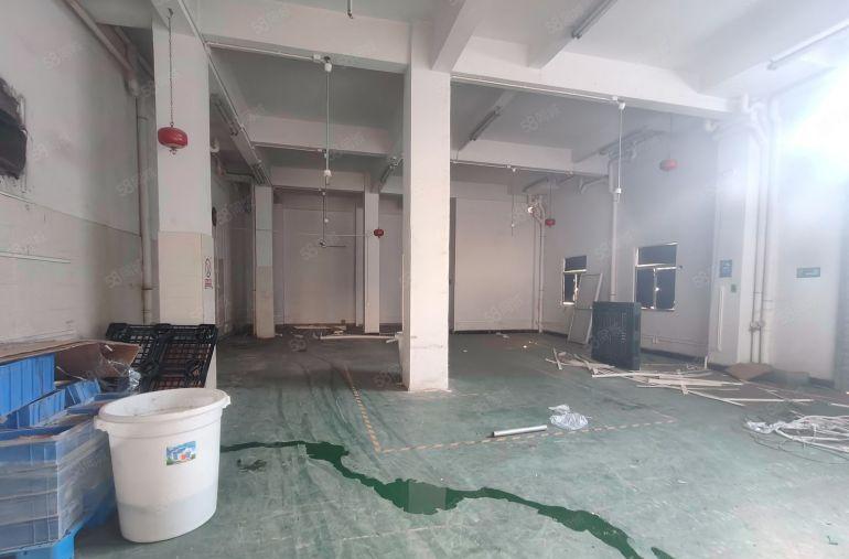 凤岗厂房出租一楼300平5米高 可做注塑五金 CNC 模具