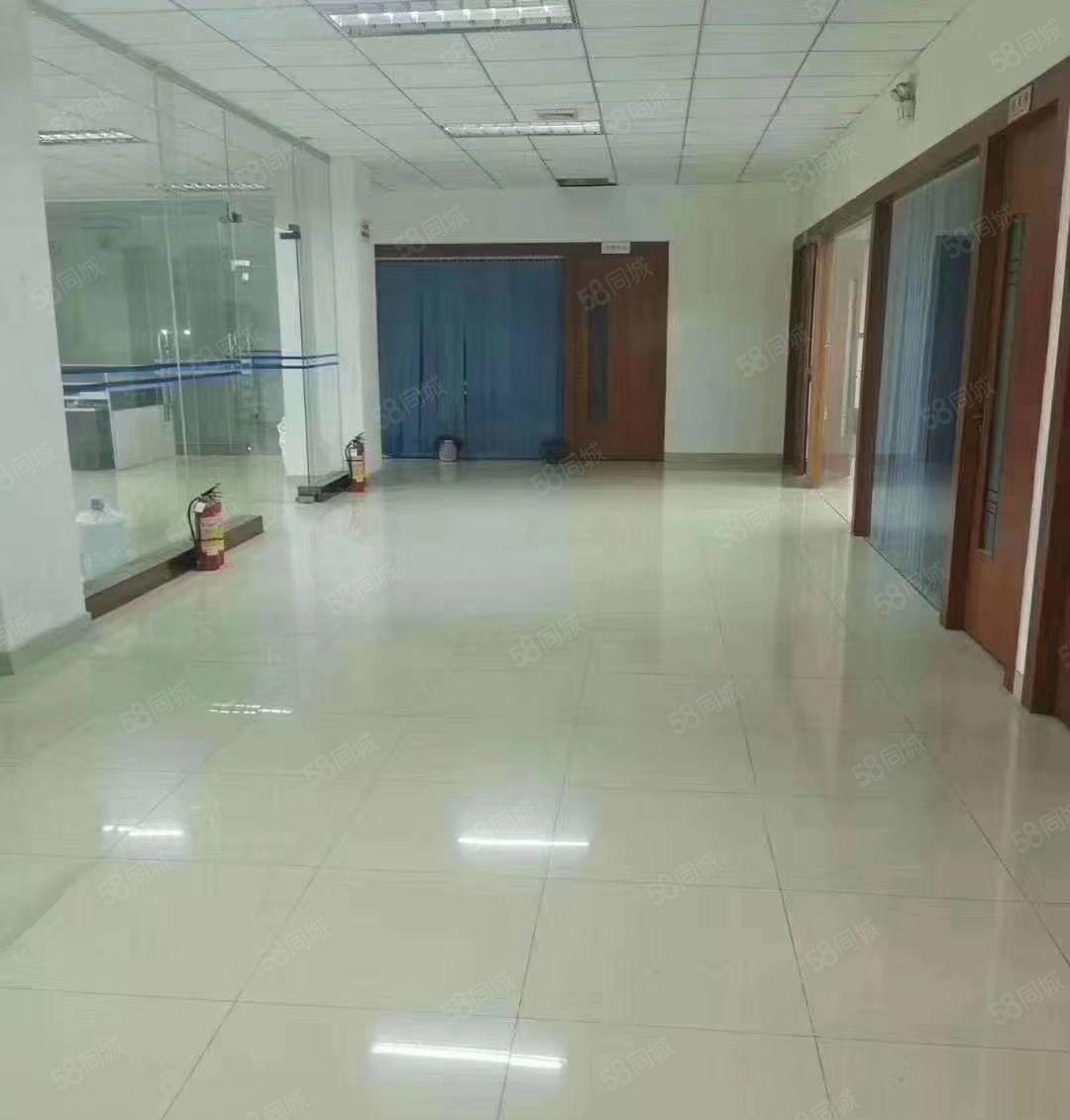 凤岗雁田新空出独门独院花园式厂房4200平方招租（可分租）