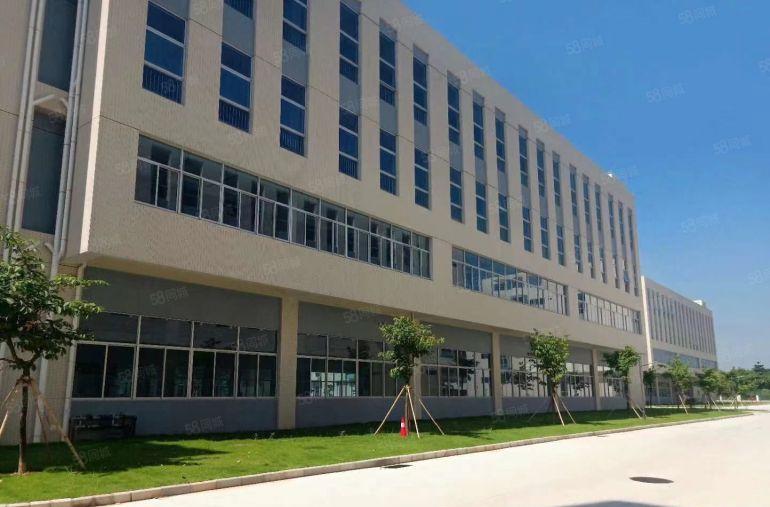 凤岗原房东独栋8000平单层2000平豪华装修厂房出租