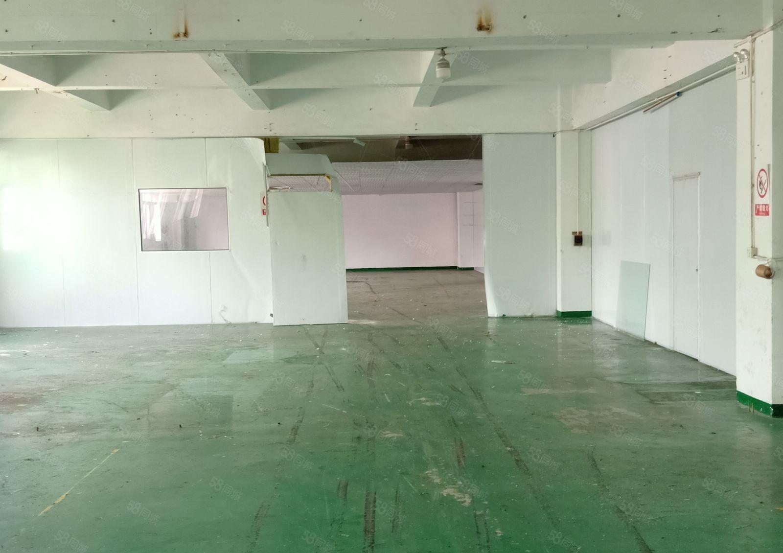 新出小独院三层电梯厂房每层带精装办公室水电到位业主直租免佣金
