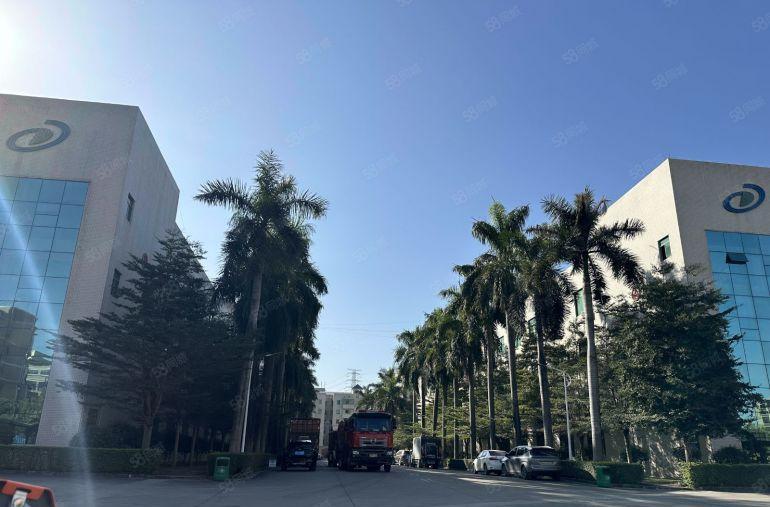 凤岗五联一房东独栋15000平，单层5000平厂房仓库出租