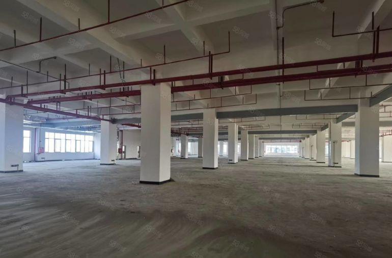 零公摊！凤岗雁田新出村委楼上6000平厂房仓库出租，大小分租