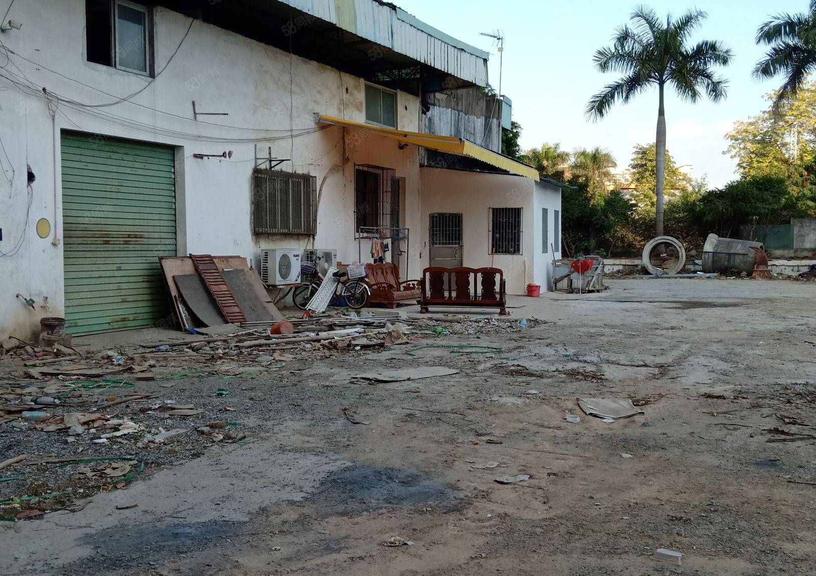 大型园区单层6米钢结构厂房业主直租25000平米可分500平