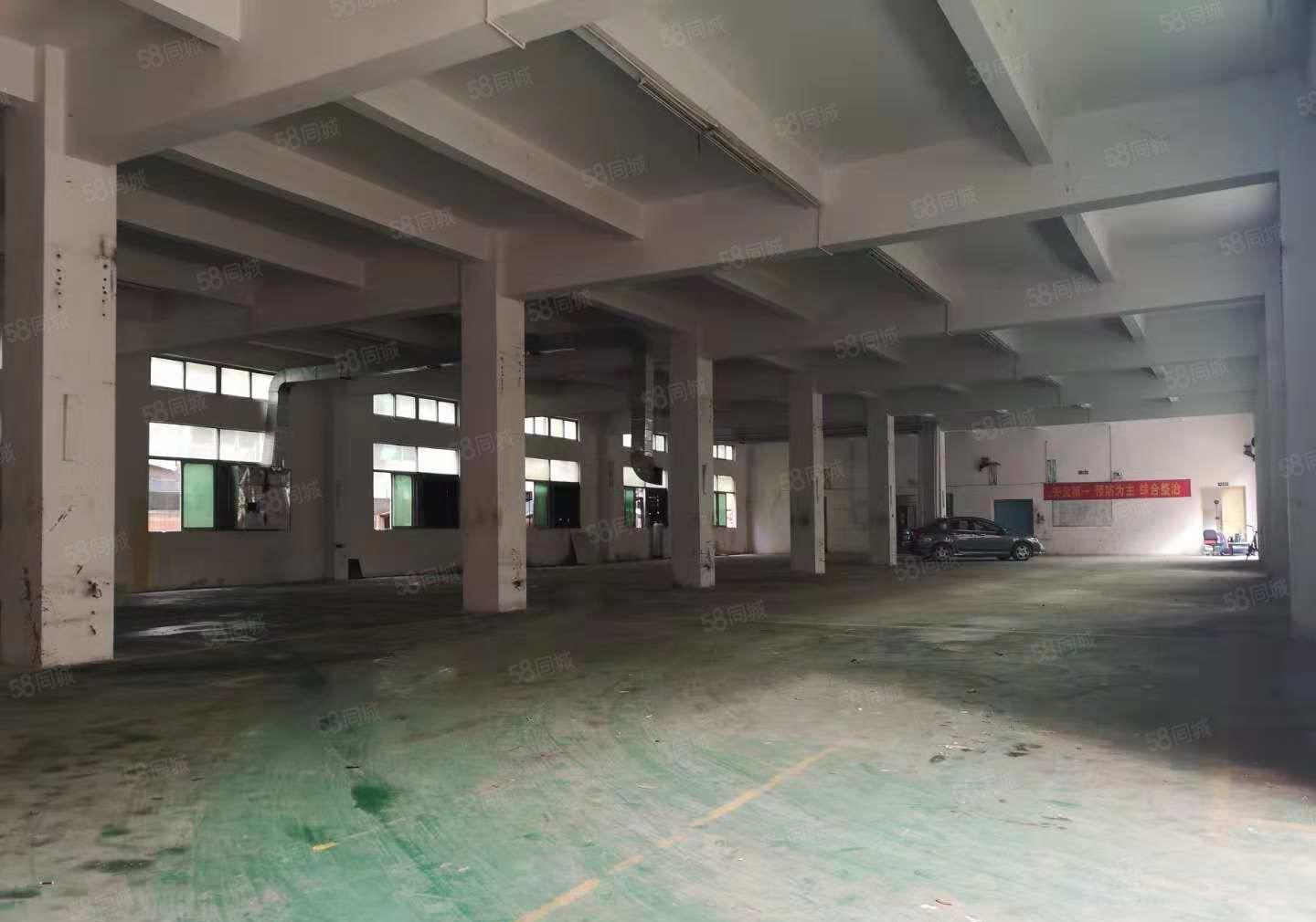 凤岗新出！4500平方米独院厂房带精装修水电齐全