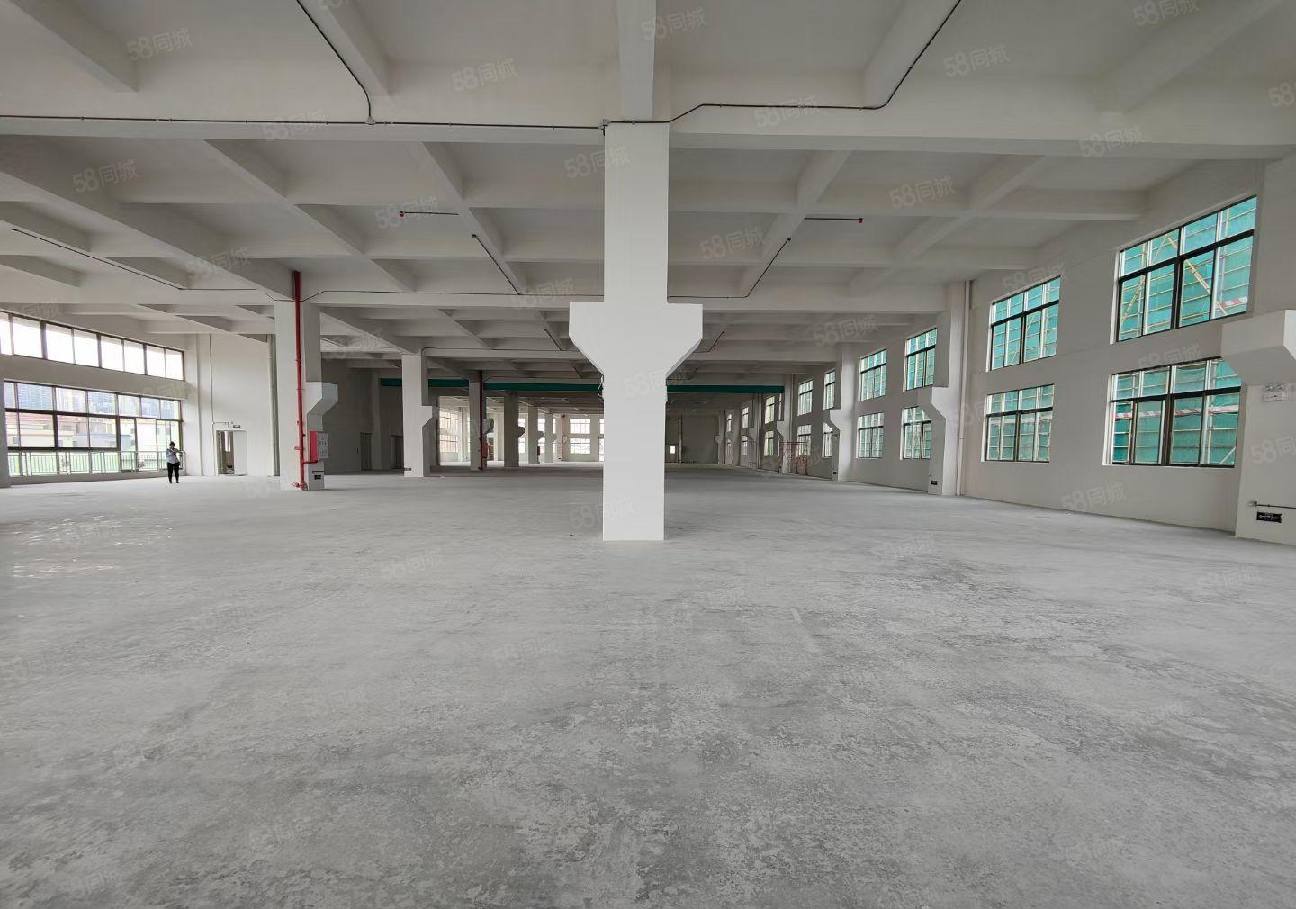 超大空地！凤岗镇独门独院花园式标准厂房出租，证件齐全大小可分