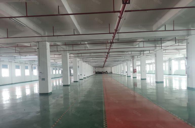 凤岗五联1000平起全新红本单层面积2500平厂房仓库出租