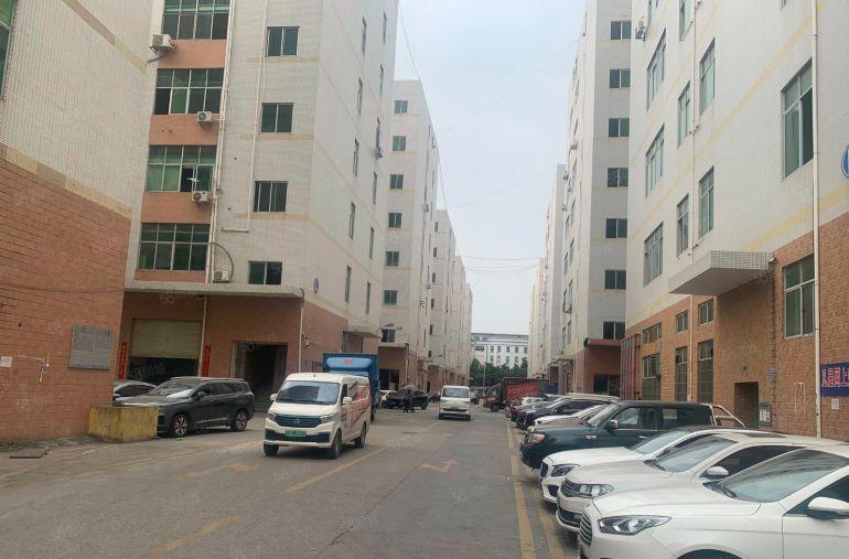 凤岗大型工业园厂房50000平方米500平起租好招工