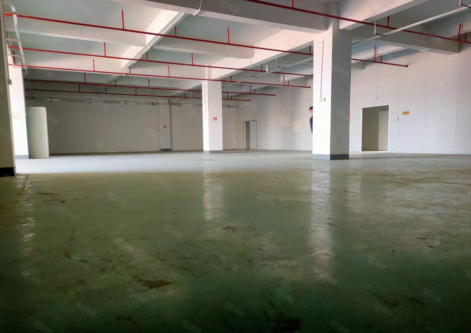 楼上1600平带 有地坪漆 带卸货平台 办公室 3吨货梯