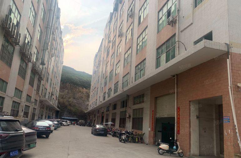 凤岗大型工业园厂房50000平方米500平起租好招工