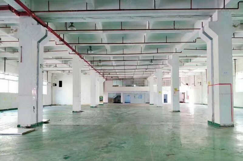 凤岗金凤凰新出原房东独门独院2400平方带豪华精装修厂房出租