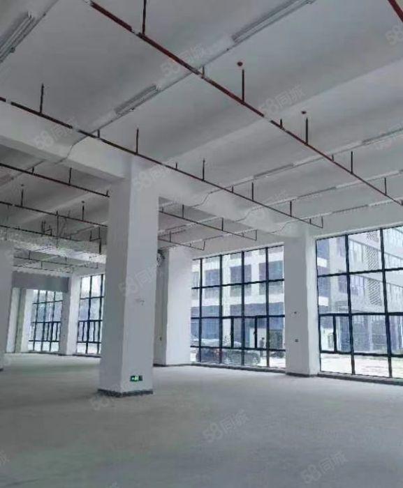 东莞市洪梅镇沿江高速路口附近，独院标准厂房出租，红本双证齐全