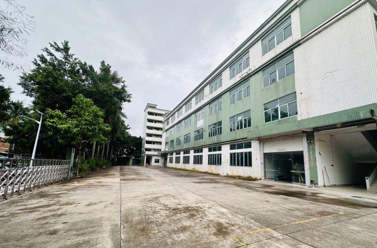 万江简沙洲一手房东厂房出租独门独院8200平有红本可办环评