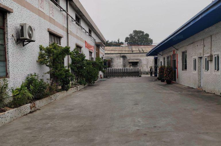 道滘大鱼沙原房东独院厂房