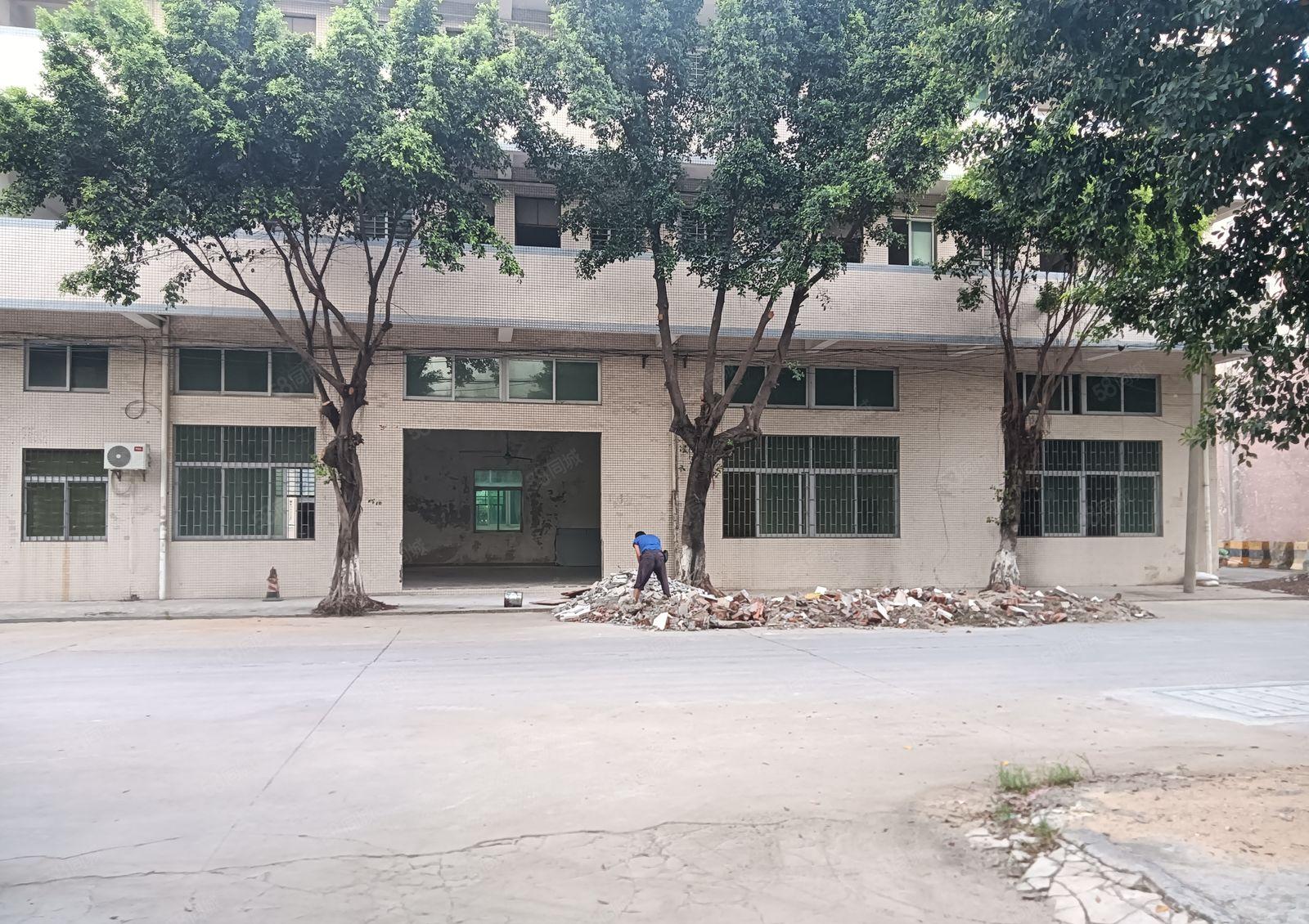 万江莫屋新出标准一楼200平方厂房。门口空地超大