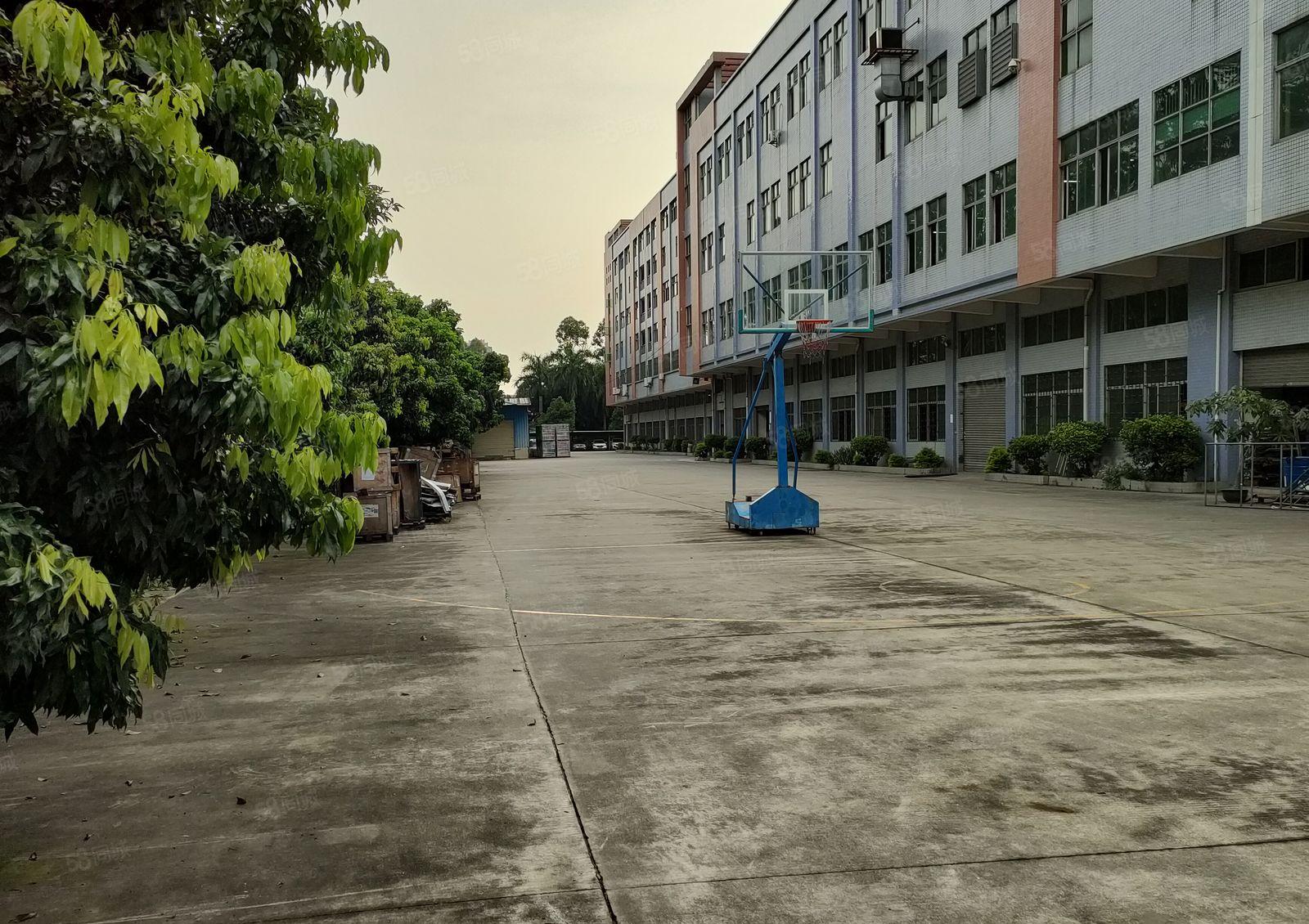 证件齐全空地超大雨污分流完善标准厂房二楼水电线路齐全办公宿舍